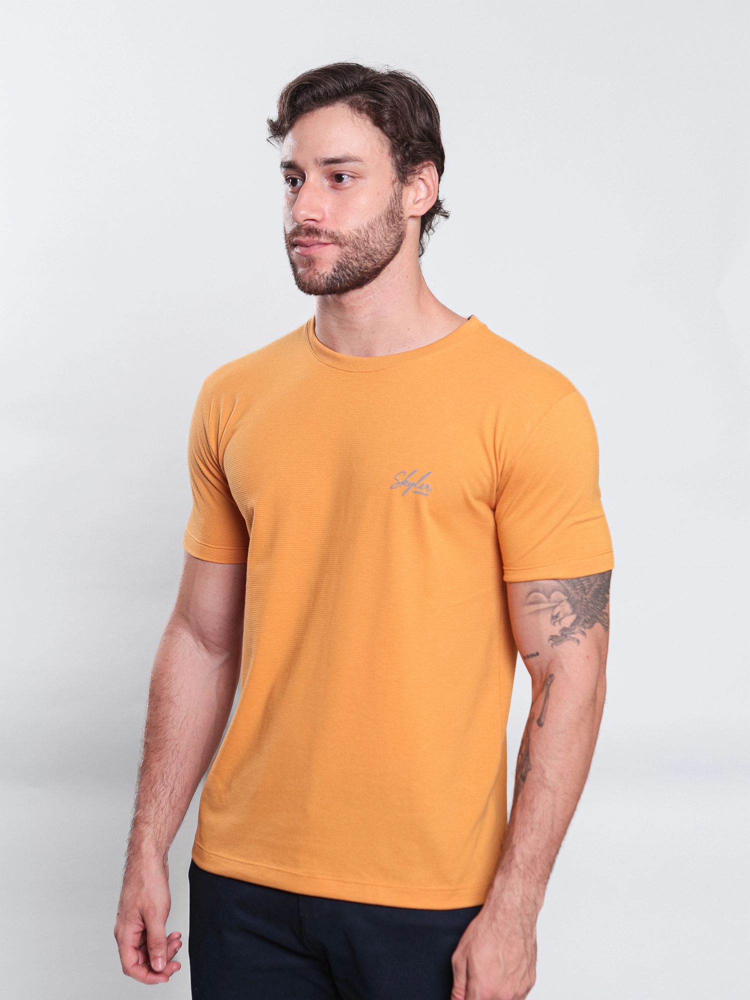 25208290-cor-2-7-webp